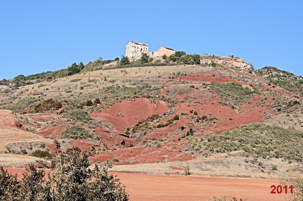 Rougier de Camarès 2011