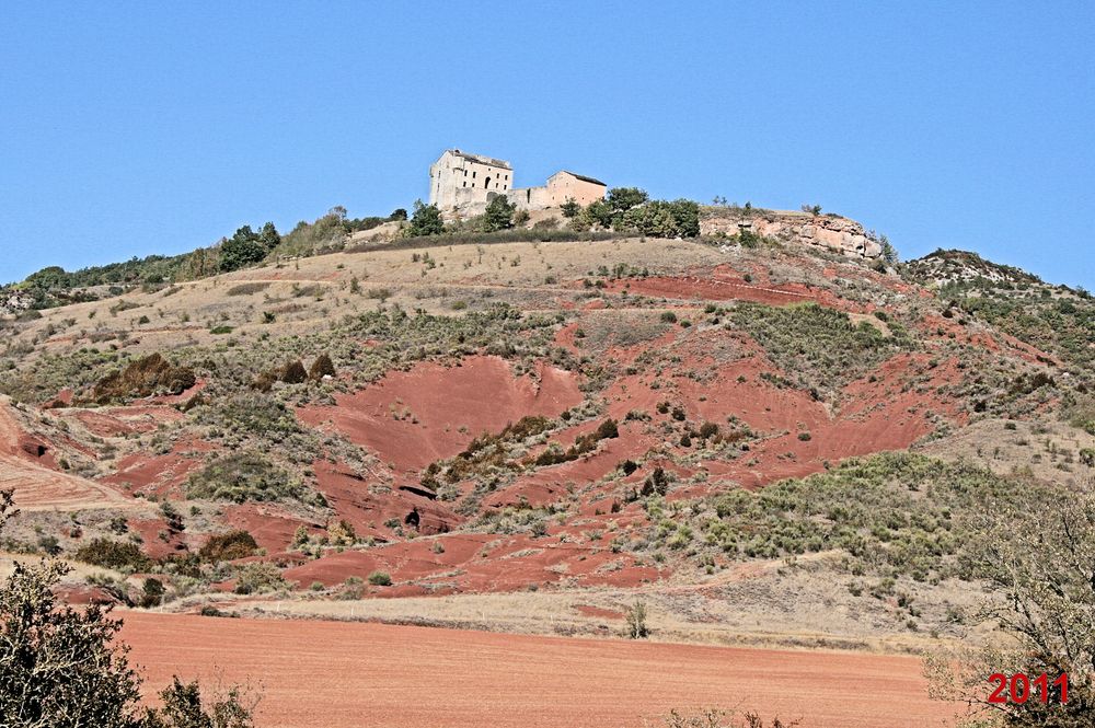 Rougier de Camarès 2011