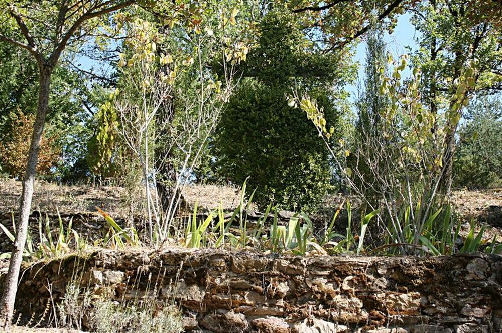 Notre Dame du Désert (40)