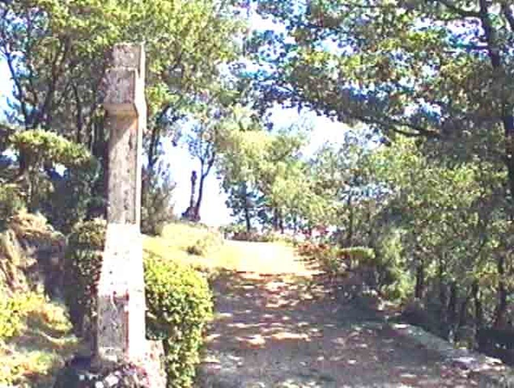 Notre Dame du Désert (46)