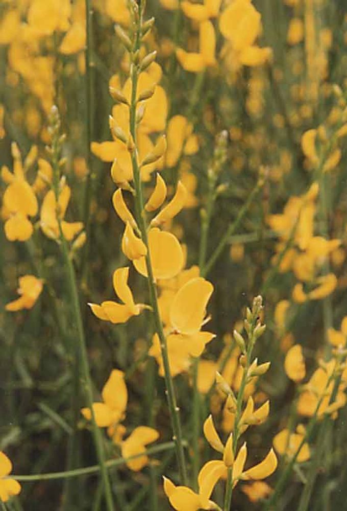 Notre Dame du Désert (52)