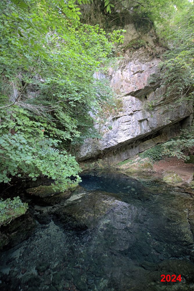 Résurgence de la Sorgues (12)