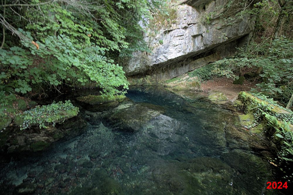 Résurgence de la Sorgues (13)