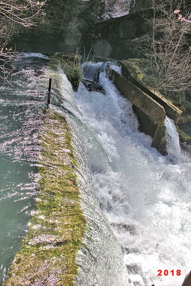 Résurgence de la Sorgues (17)