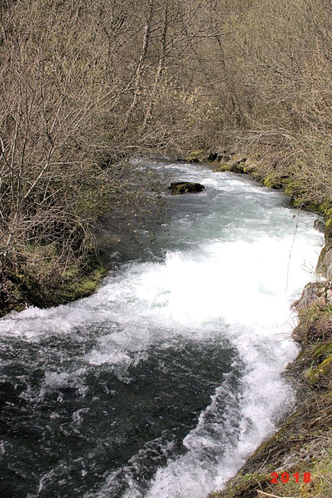 Résurgence de la Sorgues (18)