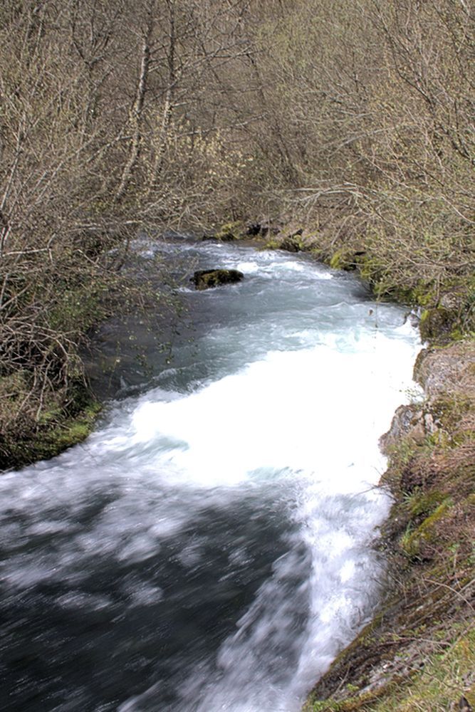 Résurgence de la Sorgues (19)