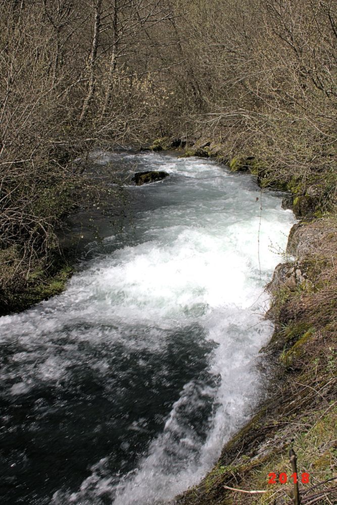 Résurgence de la Sorgues (20)