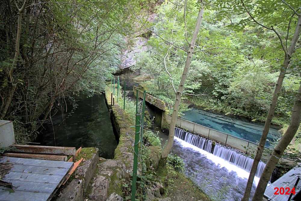 Résurgence de la Sorgues (4)