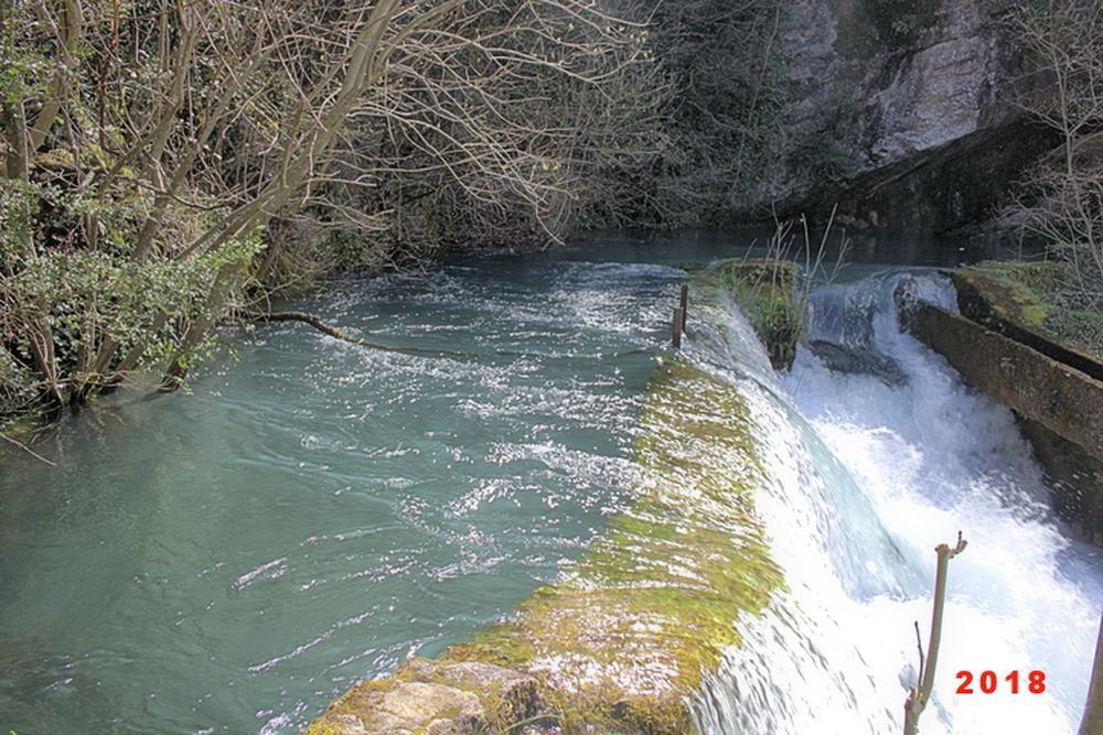 Résurgence de la Sorgues (5)