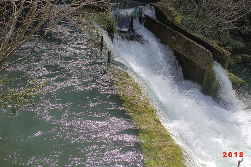 Résurgence de la Sorgues (6)