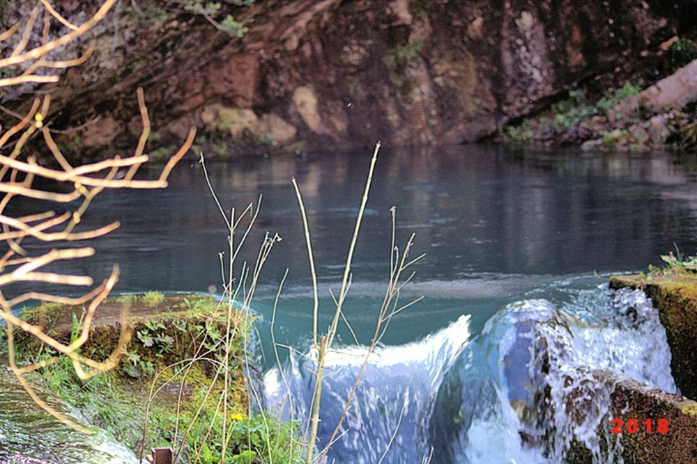 Résurgence de la Sorgues (8)