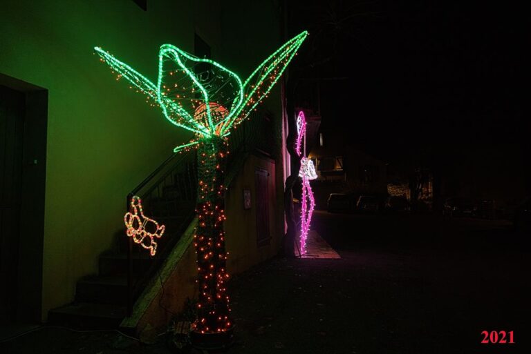 SSRDeconuit2021 (10)