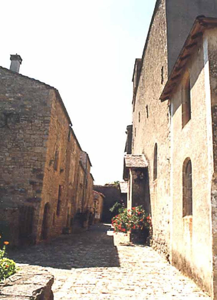 Saint Jean d'Alcas (11)