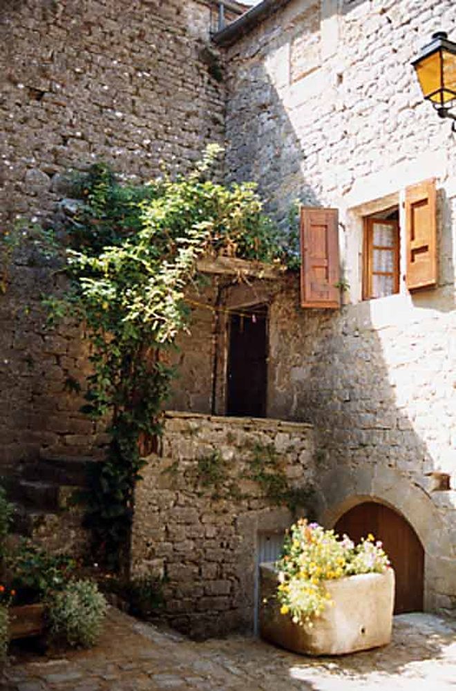 Saint Jean d'Alcas (14)