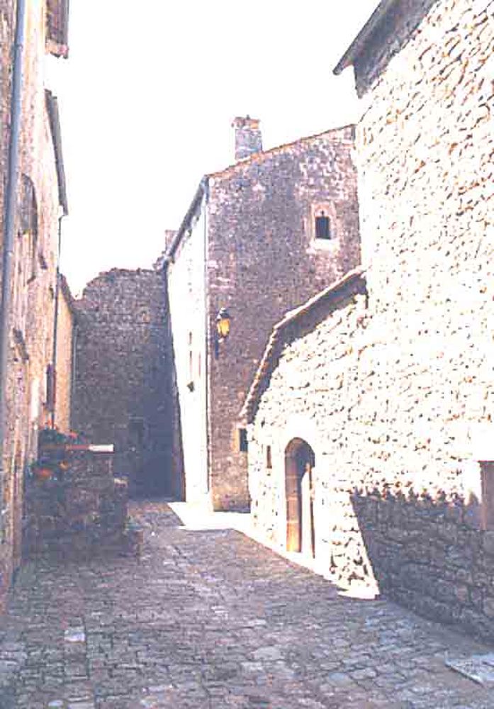 Saint Jean d'Alcas (22)