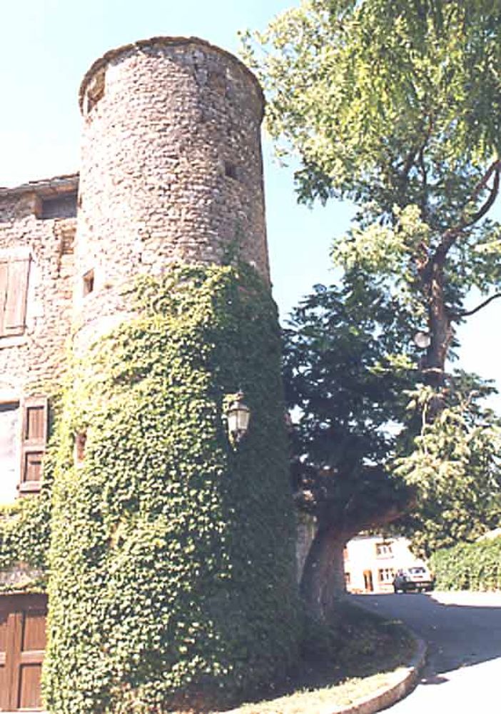 Saint Jean d'Alcas (24)