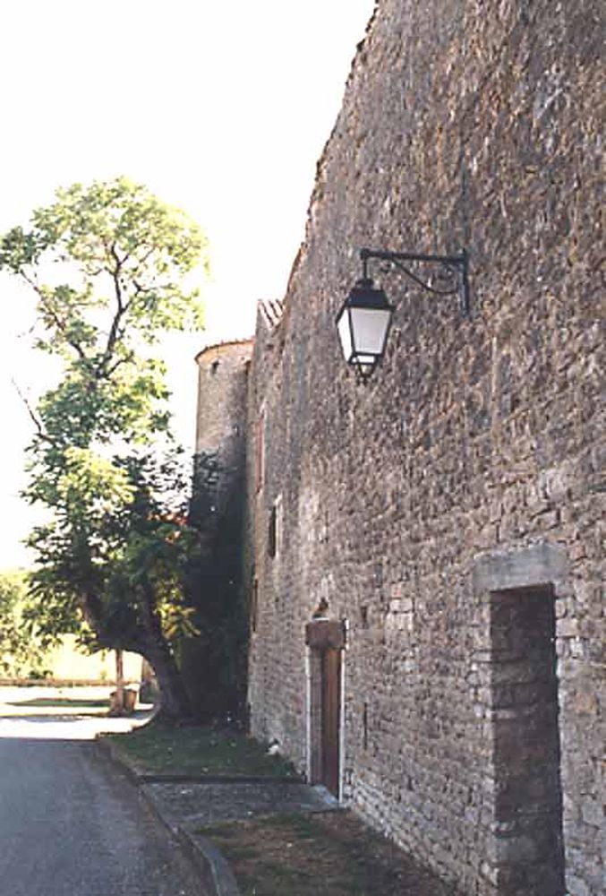 Saint Jean d'Alcas (25)