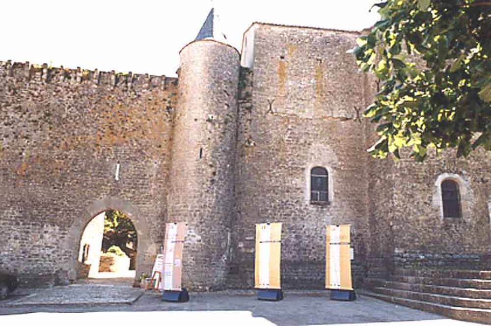 Saint Jean d'Alcas (4)