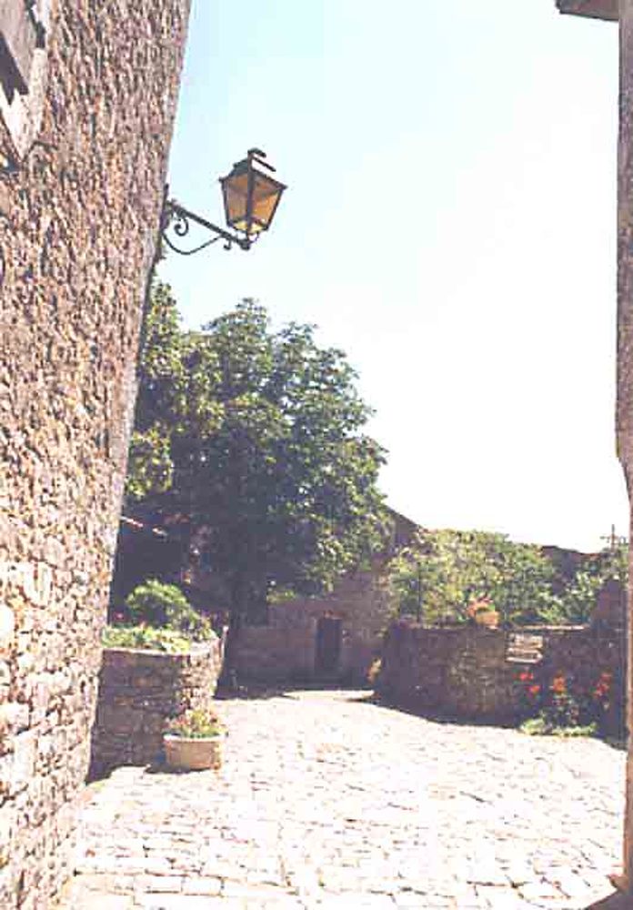 Saint Jean d'Alcas (9)