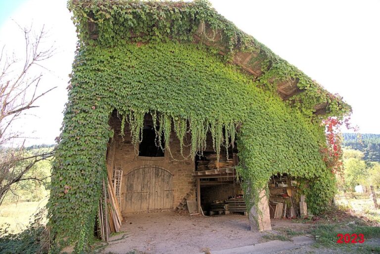 SaintMauricedeSorgues (16) -1