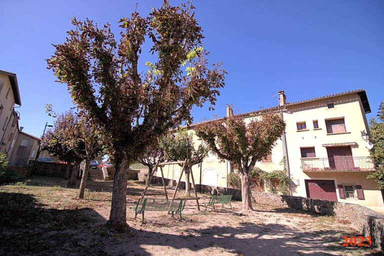 SaintMauricedeSorgues (21) -1