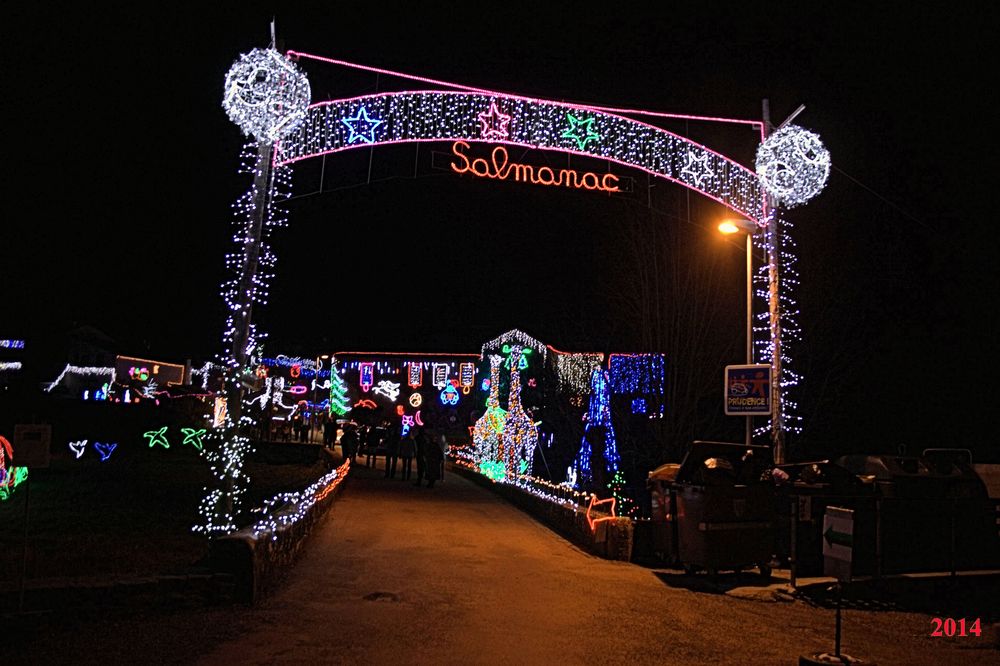 Salmanac 2014 (36)
