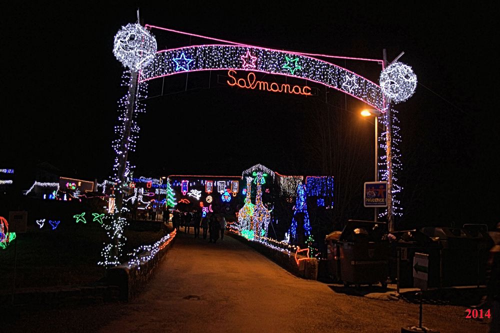 Salmanac 2014 (37)