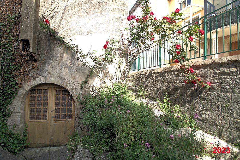 StFelixdeSorgues (113) -1